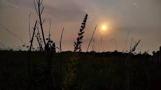 The Blinking Sun