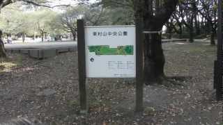 東村山中央公園[2012-10-13]アブラゼミの鳴き声＠Nikon COOLPIX P100