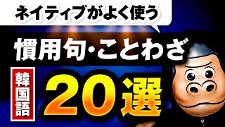 ネイティブがよく使う韓国語の慣用句・ことわざ20選