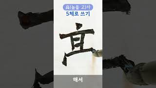 高(높을 고)자를 5가지 서체로 쓴다면...? #shorts #calligraphy #서예