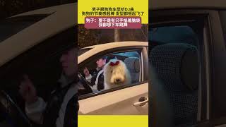 男子跟狗狗车里听DJ曲，狗狗的节奏感超棒，发型都摇起飞了，狗子：要不是有只手掐着脑袋，我都想下车跳舞 #宠哈哈 #萌宠