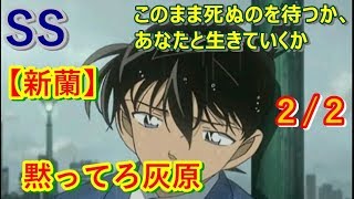 コナンSS　『江戸川くんが工藤新一よ』 後編　新蘭