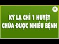 Kỳ Lạ Chỉ 1 Huyệt Mà Vừa CHỮA BỆNH TIM Vừa CHỮA BỆNH MẤT NGỦ Nên Tập Ngay Thôi | TCL