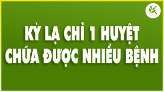 Kỳ Lạ Chỉ 1 Huyệt Mà Vừa CHỮA BỆNH TIM Vừa CHỮA BỆNH MẤT NGỦ Nên Tập Ngay Thôi | TCL