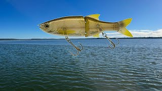 Fishing With The Molix 130 Glidebait