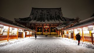 【雪景色の浅草】2024東京初雪 夜の浅草寺 First snow in Tokyo in 2024 Sensoji Temple at night（2024.2.6）【4K 高画質】