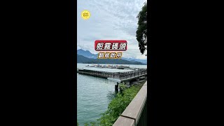 朝霧碼頭。整修重新啟用 | 日月潭景點