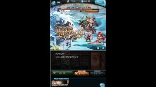 【グラブル】Lv150 Hell 竜吉公主フルオートマッチョVer2