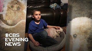 Boy who was adopted determined to give a home to senior dogs