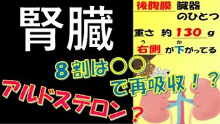 看護師国家試験出るとこだけ『腎臓』　聞いて覚える。#必修問題　#看護師国家試験　#看護学生　#看護学生勉強