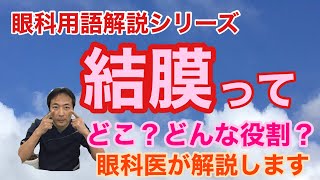 「結膜」のお話　【東戸塚　片桐眼科クリニック】