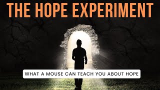 Positive Thinking Motivational Video : The Hope Experiment