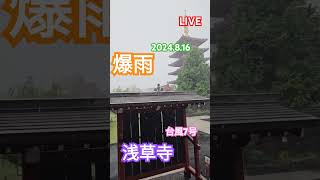 2024.8.16😯台風7号を実感してみた！no2😁😍❤️浅草寺#台風 #屁圧#韓国#浅草 #浅草寺#すごい#楽しい#ライブカメラ #台風