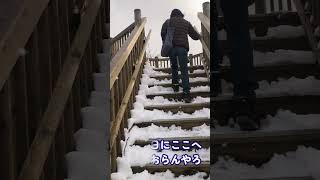 雪の降った日に見たくて行って来た高知の五台山　スーパーレア―な雪の日