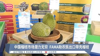 中国榴梿市场潜力无穷  FAMA助农民出口带壳榴梿【2024.07.11 八度空间华语新闻】