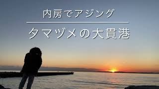 千葉県内房でアジング 夕マズメの大貫港