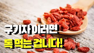 고지베리 이렇게 먹으면 독 먹는 겁니다! 구기자 효능과 부작용 제대로 알고 드세요!