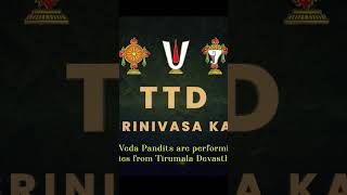 TTD Sri Srinivasa Kalyanam 2023 @yourTACA  #tirupati #toronto #telugu #venkateswaraswami