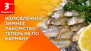 Корюшка растёт в цене / Зимний бум на рыбу / Дефицит корюшки