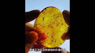 什么样的虫珀才算顶级虫珀#琥珀 #缅甸琥珀 #珠宝 #虫珀