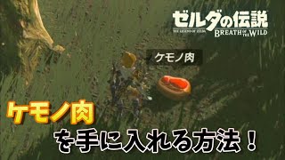 【ゼルダの伝説BotW】ケモノ肉を手に入れる方法！