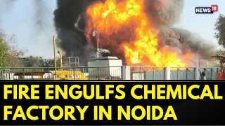 BREAKING News | Noida Fire- Massive Fire Engulfs Chemical Factory in Greater Noida, Uttar Pradesh