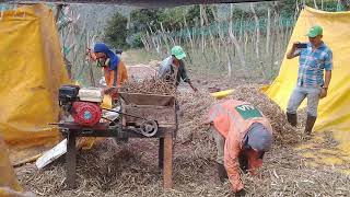 La nueva maquina de sacar frijol de la vereda mesagrande