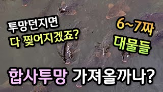 숭어전용합사투망 양손모아치기캐스팅각? 6짜 대물잉어투망의 추억, 양재천 잉어떼와 청둥오리, cast net fishing? pesca? വല എറിയുന്നു, إلقاء شبكة