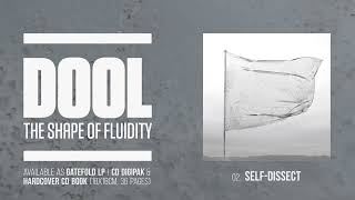 Dool - The Shape of Fluidity [ Album Player]