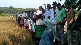 പെരുമണ്ണ ക്ലാരി Perumanna Klari