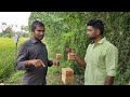 apiculture bees தேனீ வளர்ப்பு honey bees farming manufacturing u0026 tips mrjkvlogs