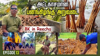 யாழ்ப்பாணத்து ஒடியல் கூழ் அவ்ளோ சுவை - #BK in Reeacha | Panag Kizhangu Harvest in Reecha | Sri Lanka