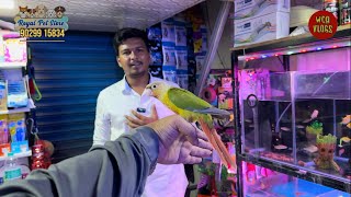 Royal pet shop new Mumbai Panvel #aquarium #birds #exotic #fish