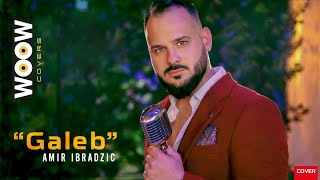 Amir Ibradzic - GALEB (OFFICIAL COVER 2023)