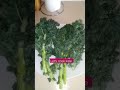 how to cook kale kale sabzi recipe