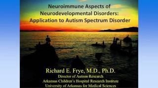 Dr. Frye Discusses Autism Spectrum Disorders, PANDAS and PANS