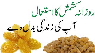 Kishmish ke fayde in urdu | Raisin Health benefits in urdu | Kishmish