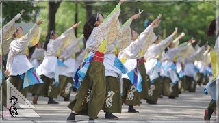 【公式】おどりんちゅ2022碧嵐  原宿表参道元氣祭スーパーよさこい NHK前ストリート1日目