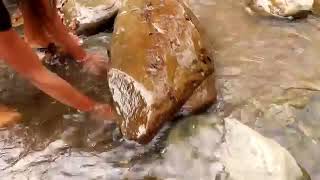 Finding & catch crab in water boiled on clay for food - Cooking crabs eating delicious #49