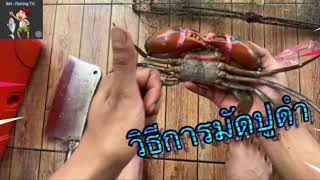 วิธีการมัดปูดำ เเบบง่ายๆ 👍🏻🦀 | ลุยไปกับมิน