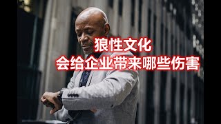 狼性文化會給企業帶來哪些傷害