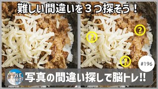 『写真で間違いさがし』の脳トレ！ #196 「チーズ牛丼」「ヘリ降下訓練」「タマスダレ」【高難易度】｜Find the difference game in photos