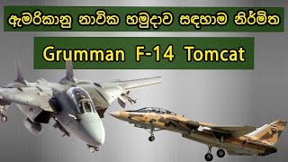 ඇමරිකානු නාවික හමුදාව සඳහාම නිර්මානය වූ Grumman F-14 Tomcat #fighterjet #f14tomcat  #jet