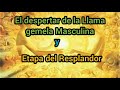 Despertar de la Llama Gemela Masculina y Etapa del Resplandor