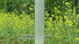 Bomen op de akkers bij Avermaete Es