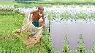 Amazing Fishing Video - Fishing by 80 Years Old Fisherman - Net Fishing Video