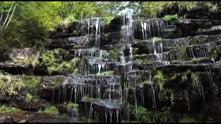 PIROT I STARA PLANINA - LEP SPOJ TRADICIONALNOG I SAVREMENOG