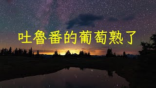 《吐魯番的葡萄熟了》輕音樂民樂協奏加長完整版，旋律婉轉悠揚 | 心靈音樂 | 冥想音樂 | 舒緩助眠音樂 | 禪修音樂 | 舒壓助眠