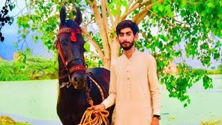 Ch Ziaullah Gujjar Riding Fakhre Chandala