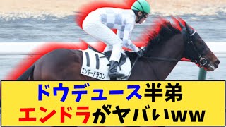 【競馬】「ドウデュース半弟 エンダードラゴンの人気がヤバいww」に対する反応【反応集】